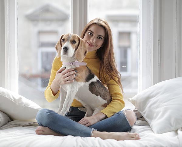 Adopt or foster a pet Covid-19 Coronavirus